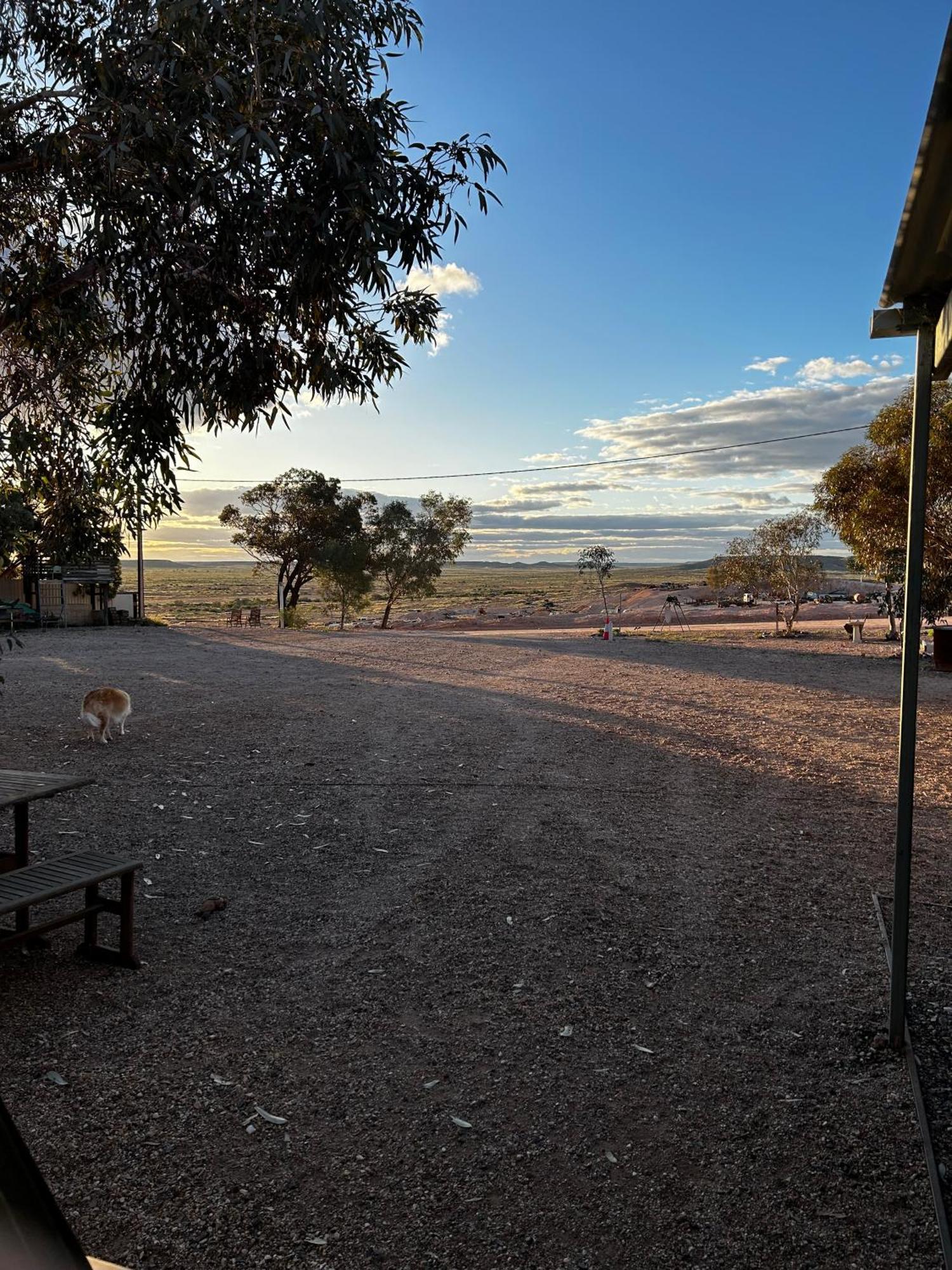 Hotel Di'S Dugouts Coober Pedy Exterior foto
